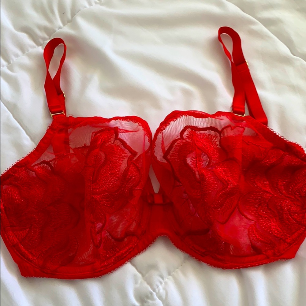 Wacoal Red Rose Bra 32DDD Stunning (Gently washed)
